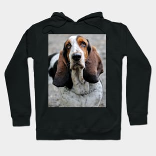 Betty Blood Hound Hoodie